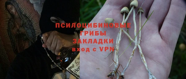 спайс Алексин