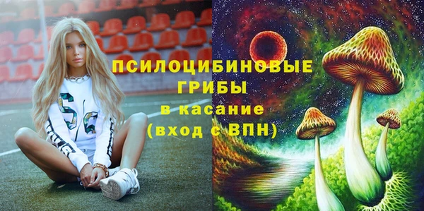 спайс Алексин