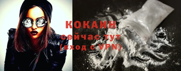 спайс Алексин