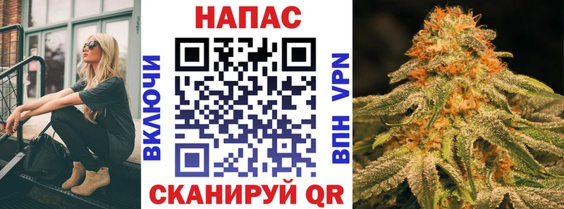 где найти наркотики Балашов МАРИХУАНА план